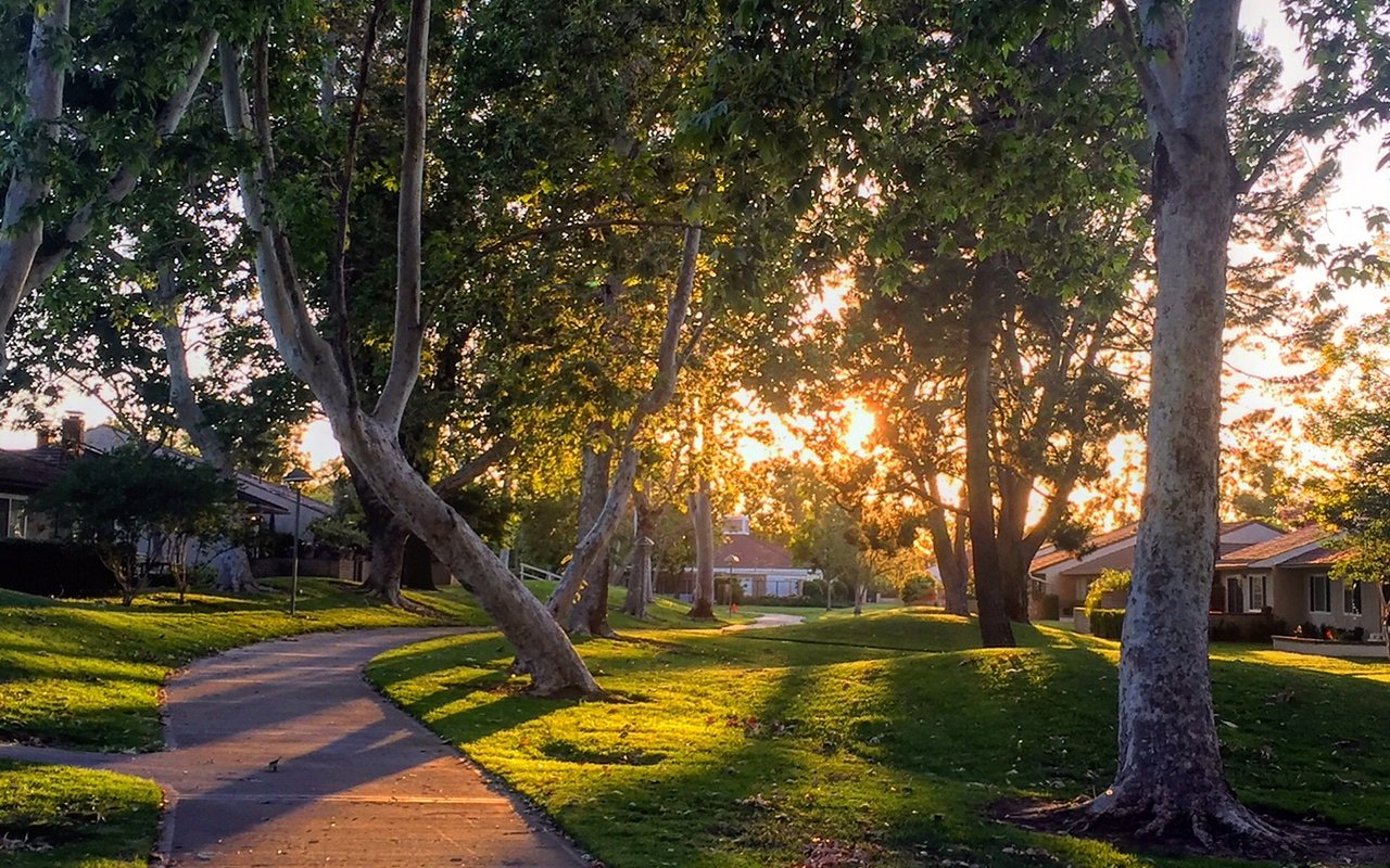Sunset on the sycamore-lined greenbelt path through the University Park village of Irvine