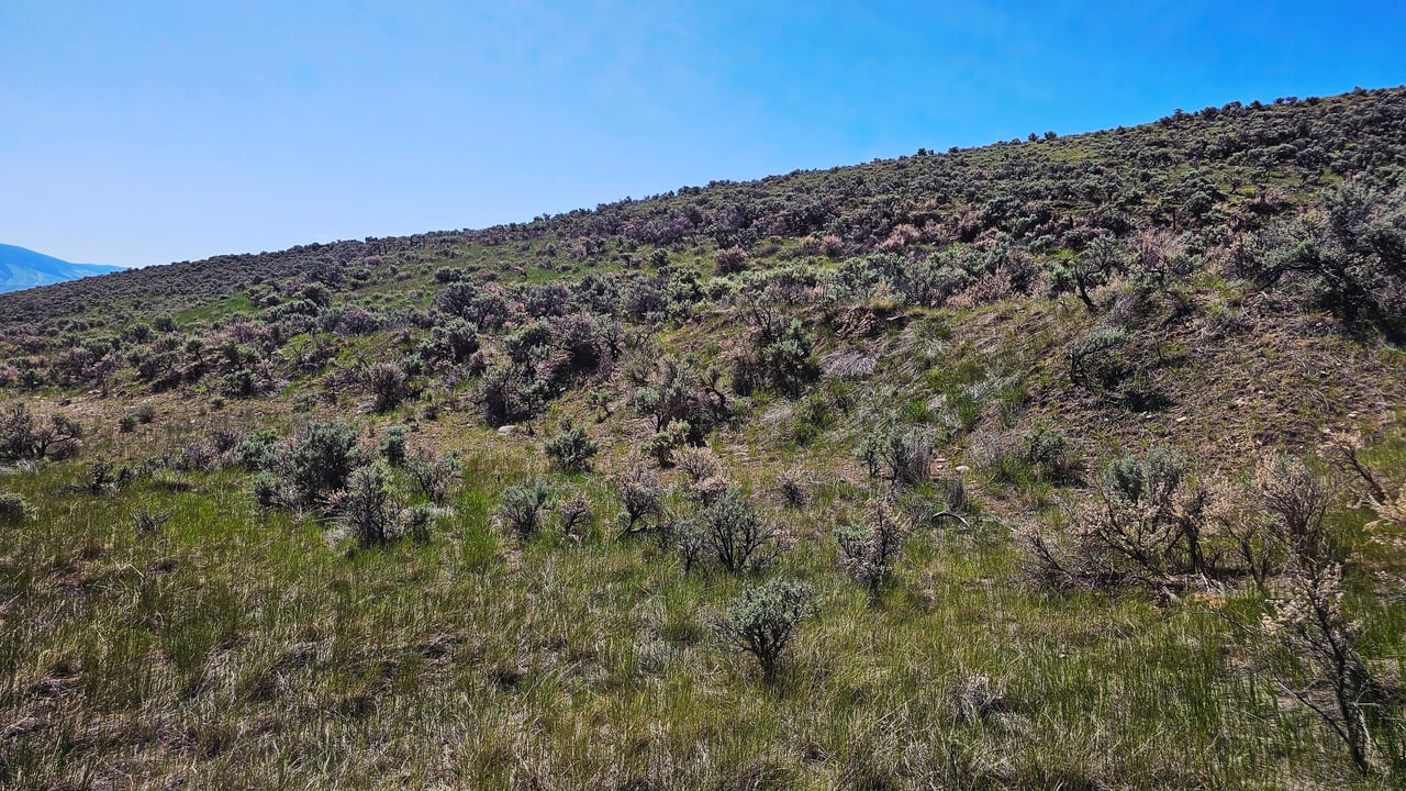 NKN Chipps Creek Road