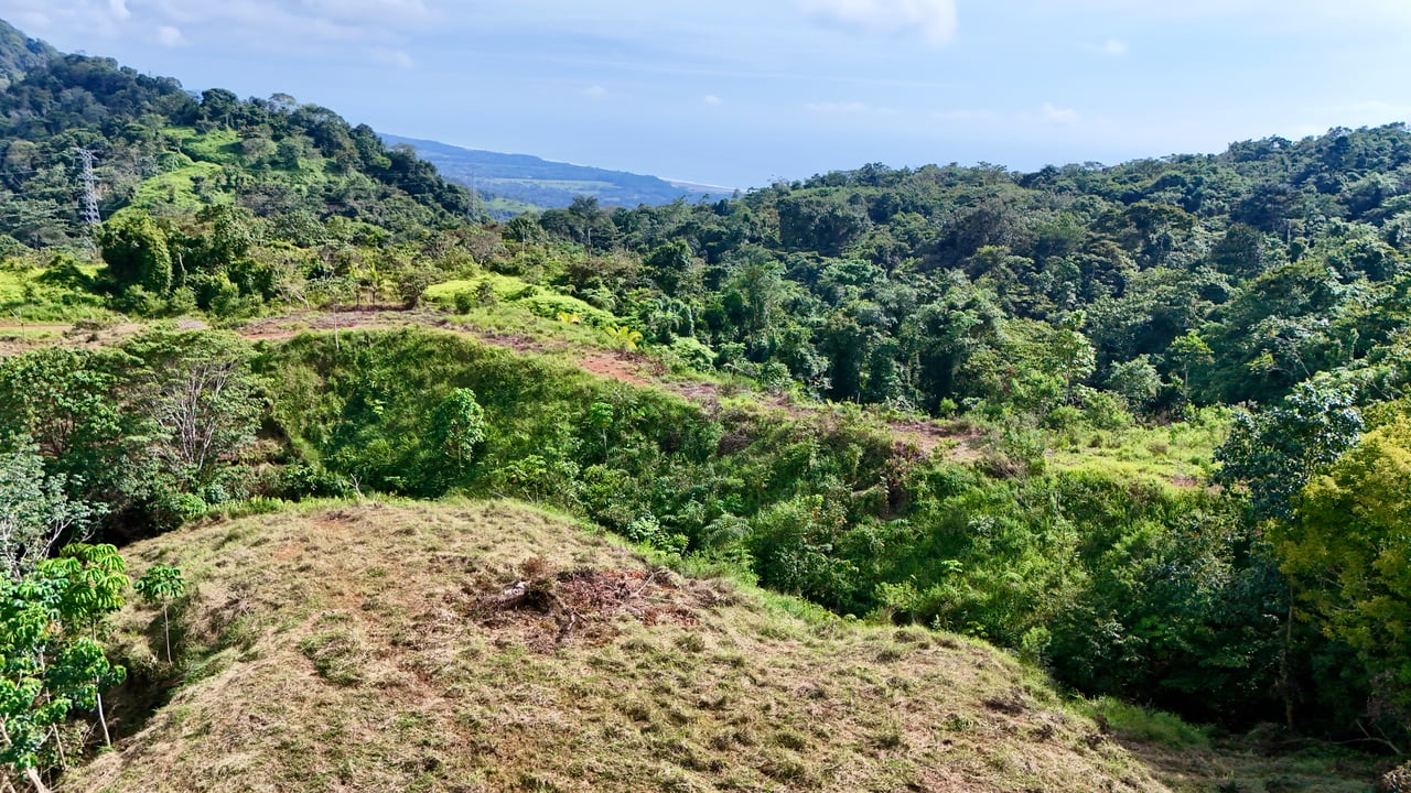 Off-Grid Ocean View Lot | 1.7 Acres in Las Nubes Matapalo Hills 