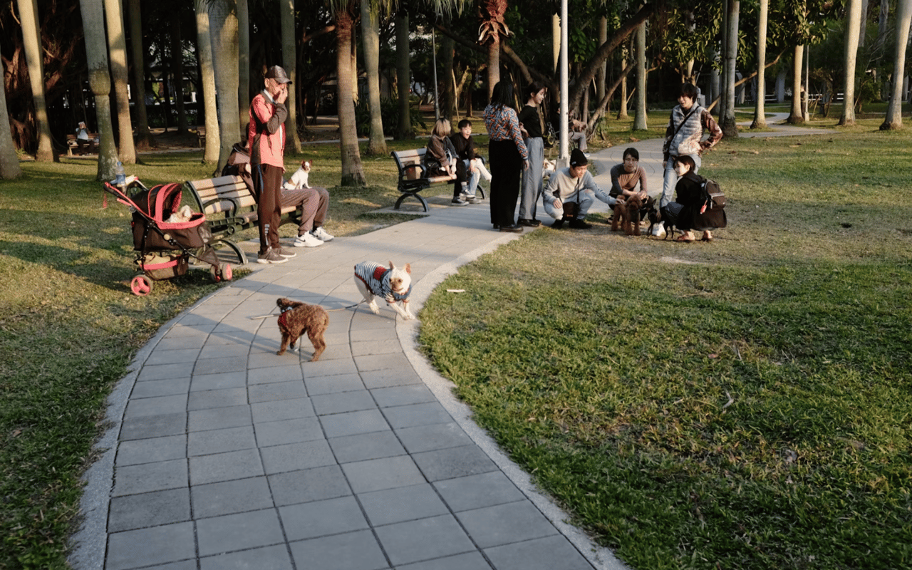 Pet-Friendly Restaurants and Dog Parks in Sherman Oaks cover