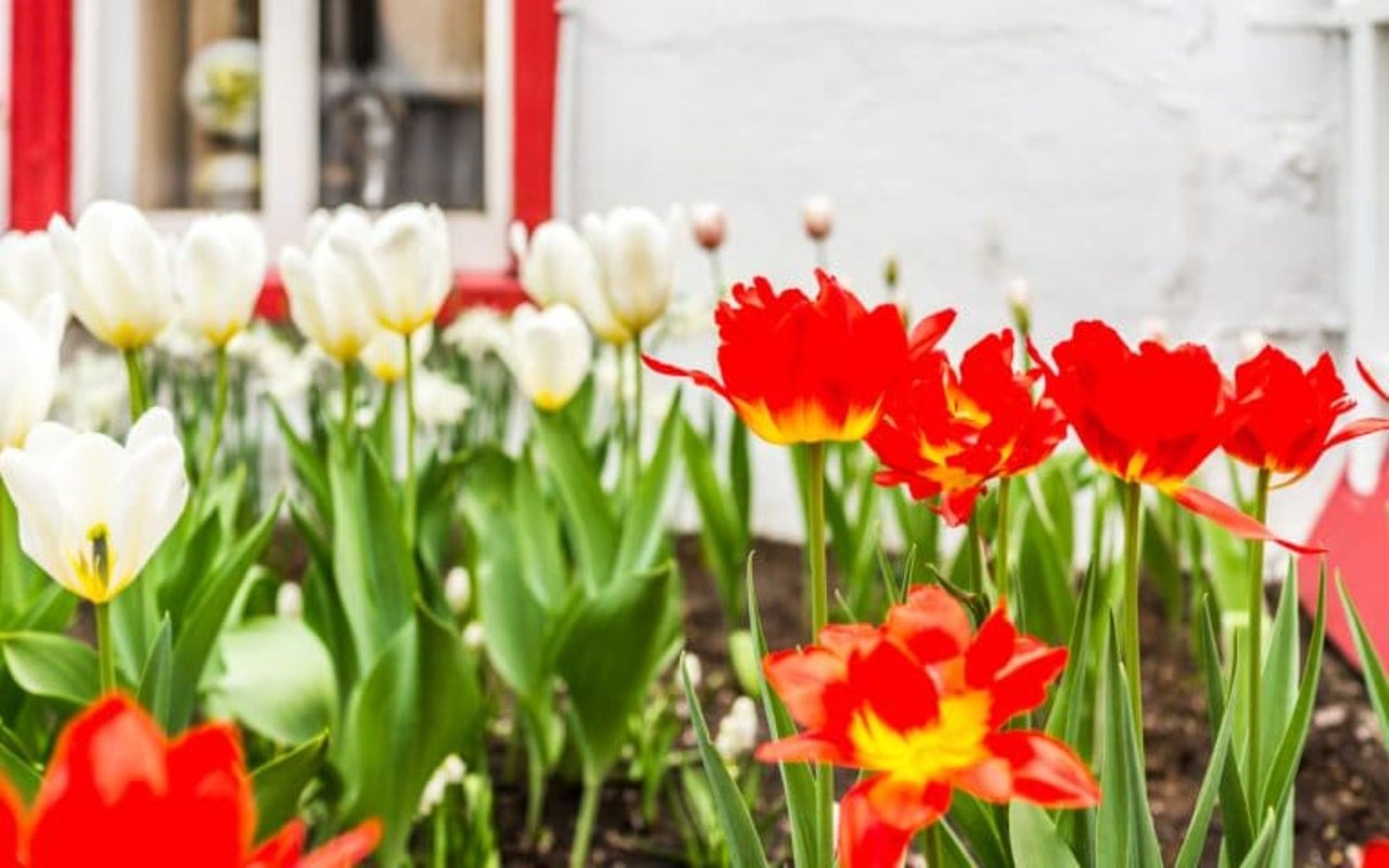 Springtime Luxury Open House Event
