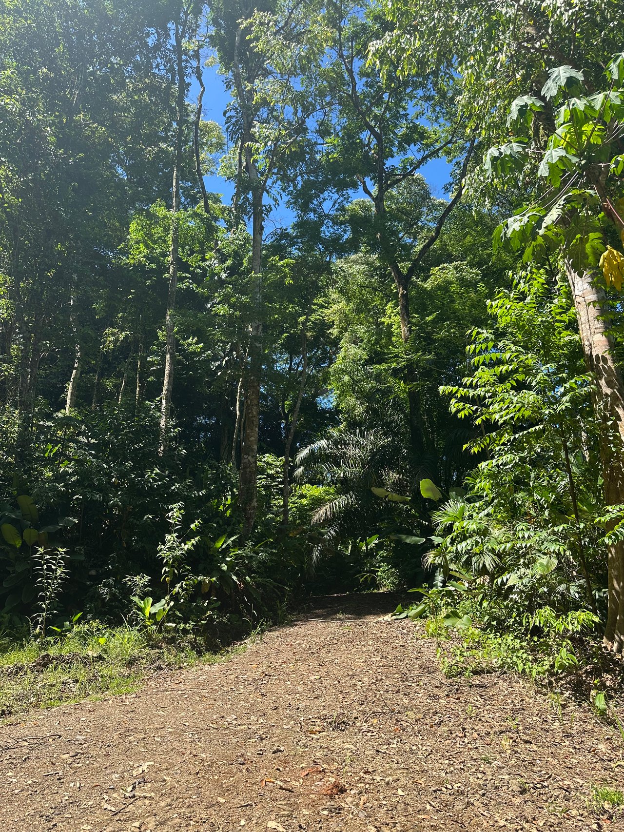 Ocean View Sanctuary in Paradise Breezes, Hatillo