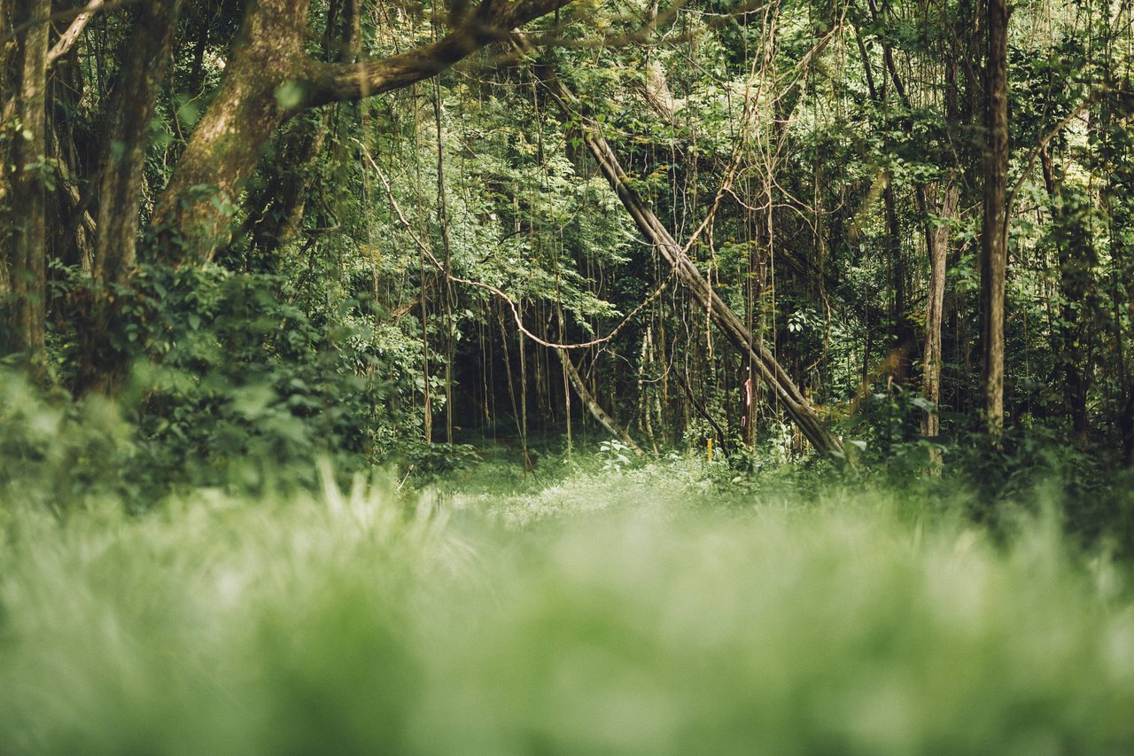  Punta Sabana & Mar Serena