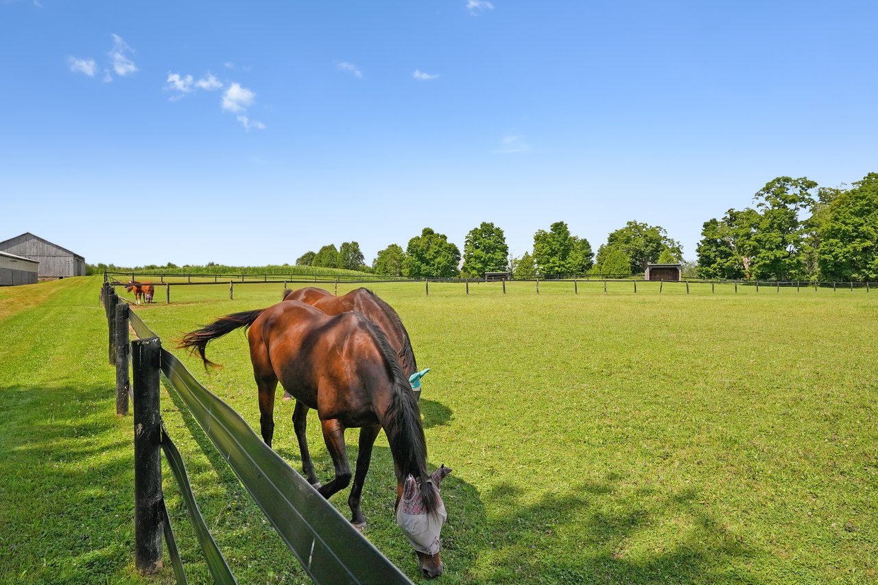 Extraordinary Equestrian Estate