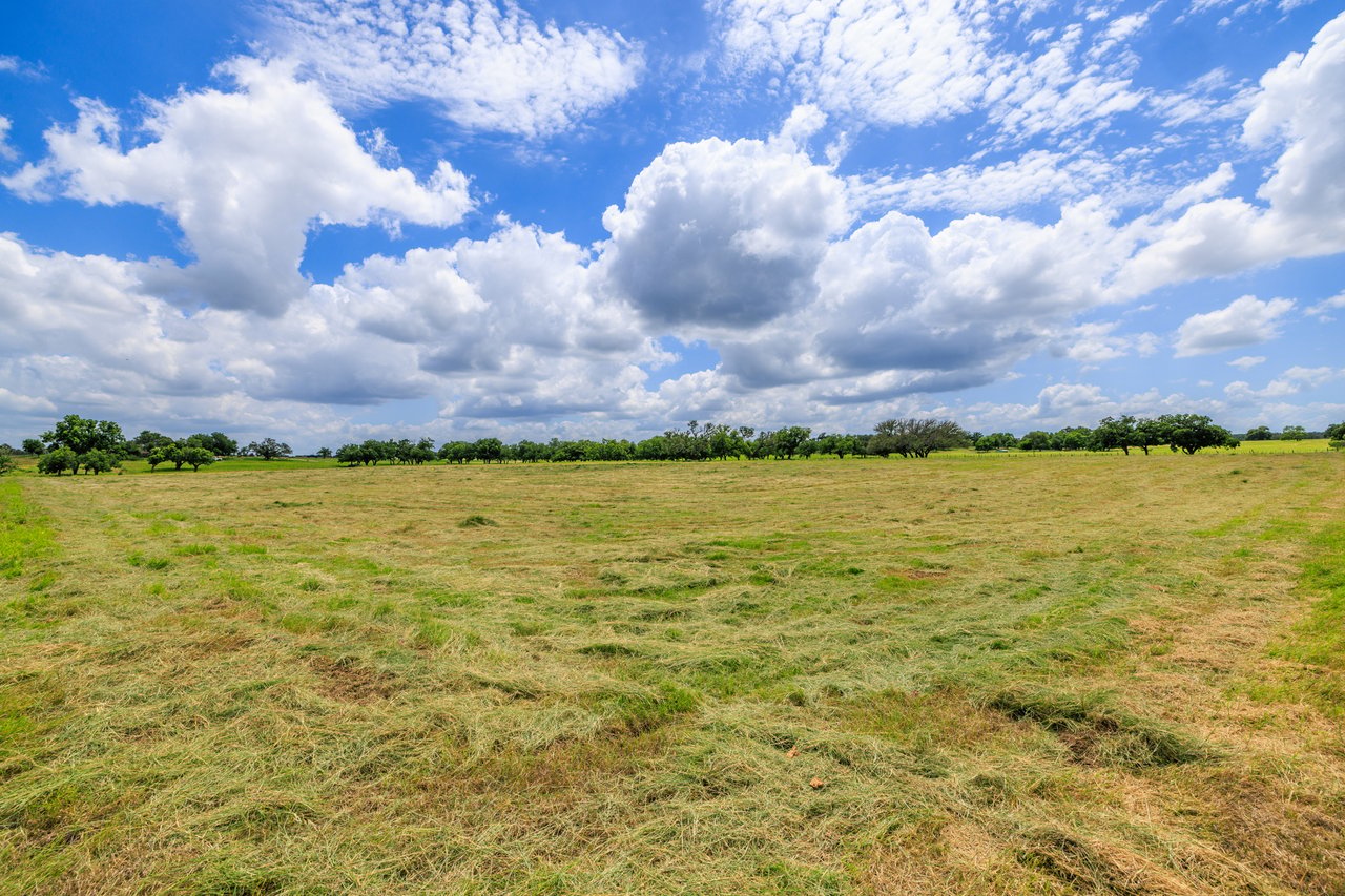 Live Oak Creek Ranch 