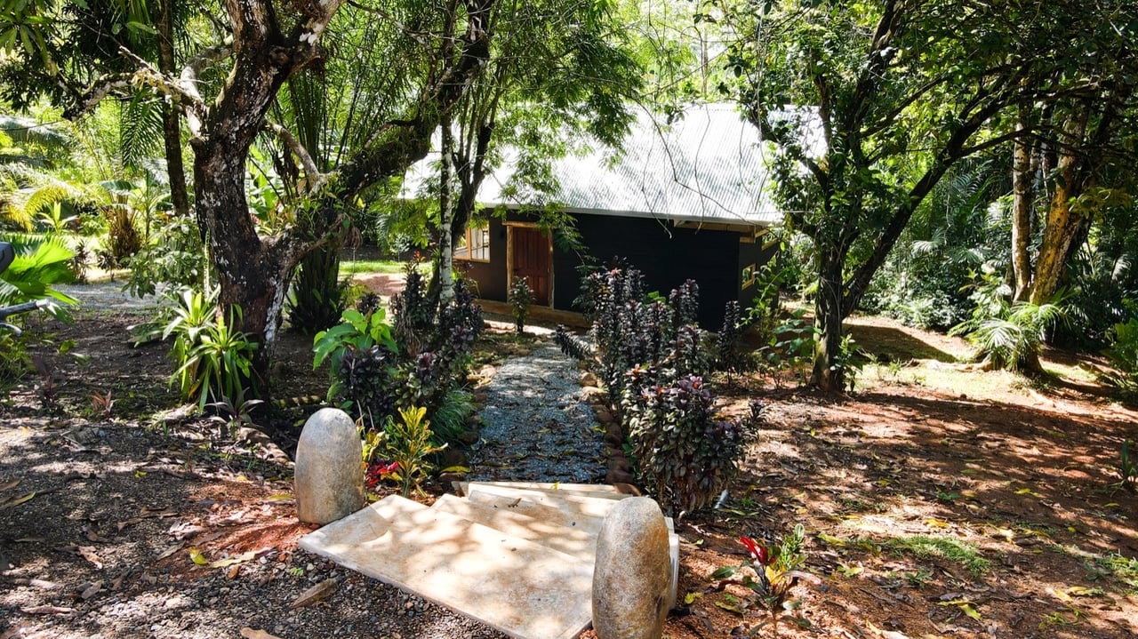 Five Star Private Rainforest Estate on Acreage with Creek