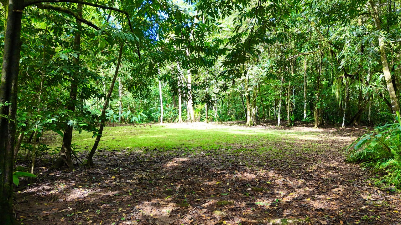 Selva Vista Estate – 5.9 Acres of Wild Beauty