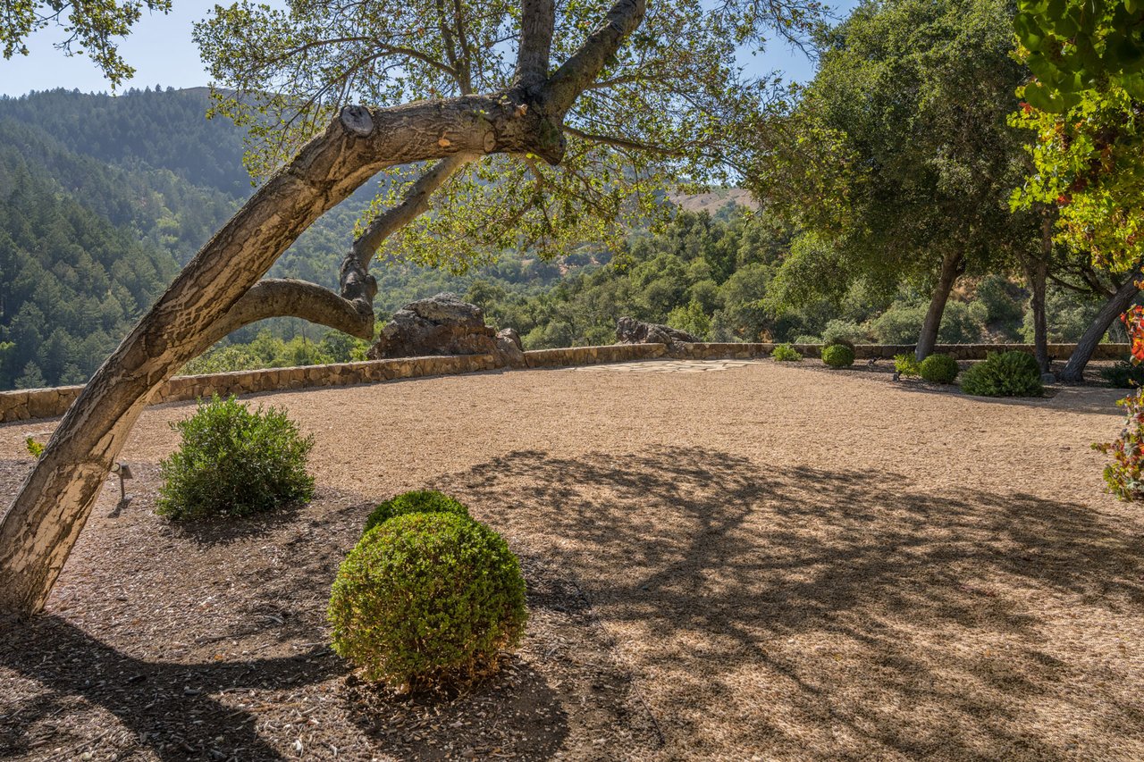 Oakville Vineyard Estate