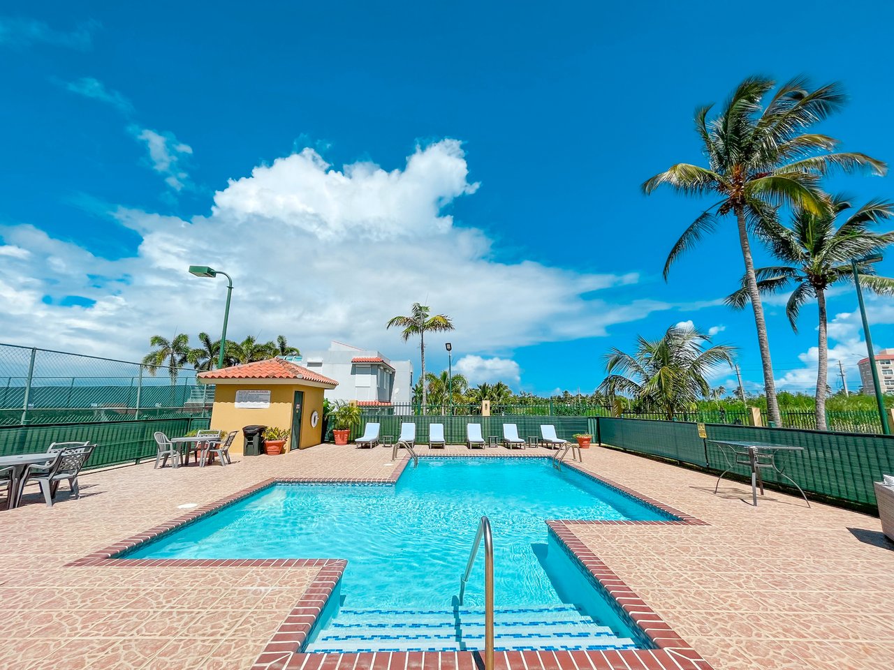 Royal Palm B-502