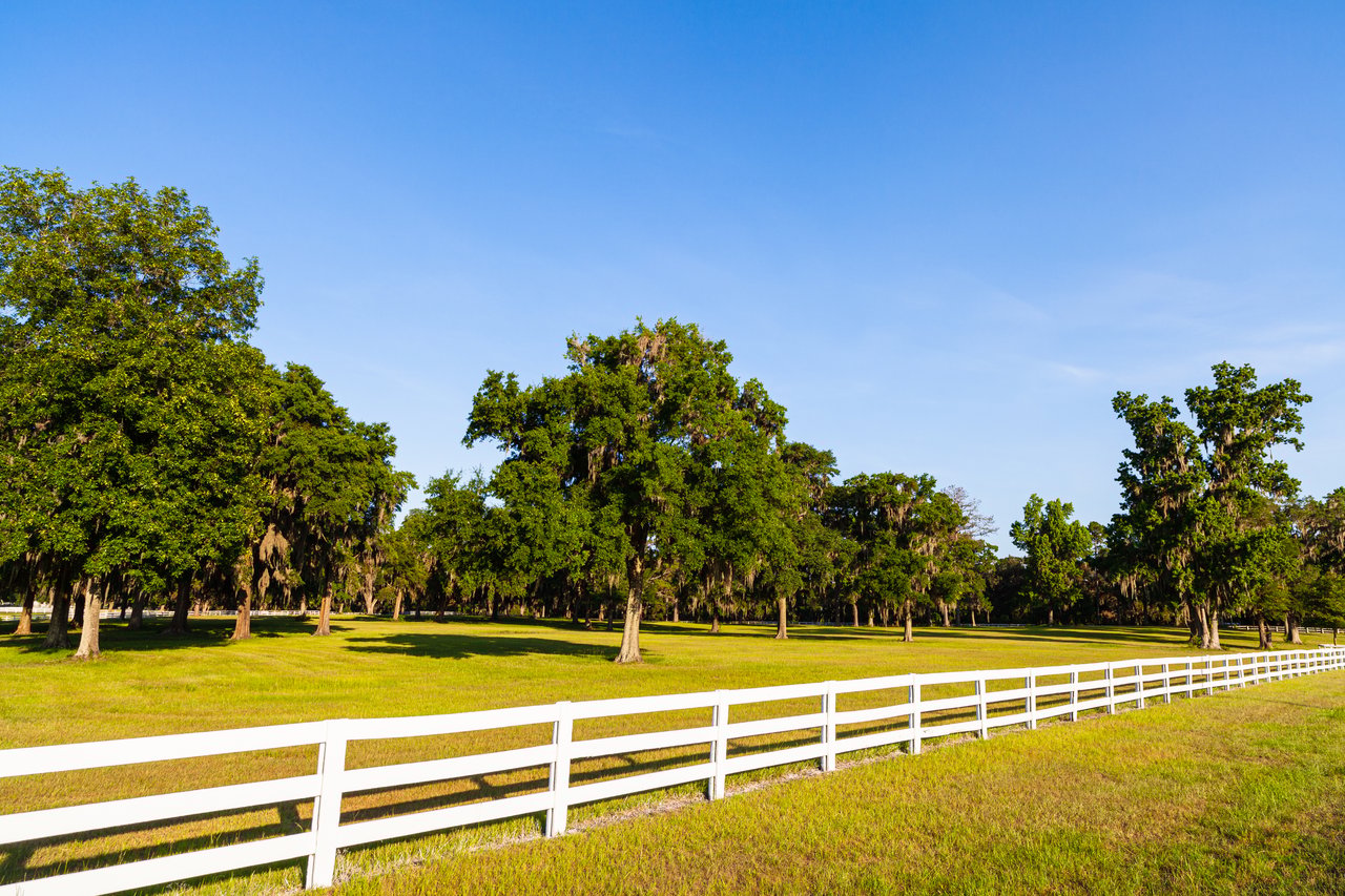 Fair Oaks Ranch