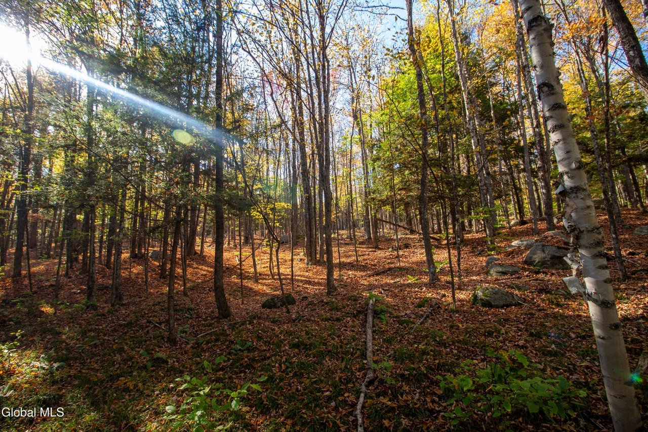 Extraordinary 127+ Acre Parcel in Adirondack Park