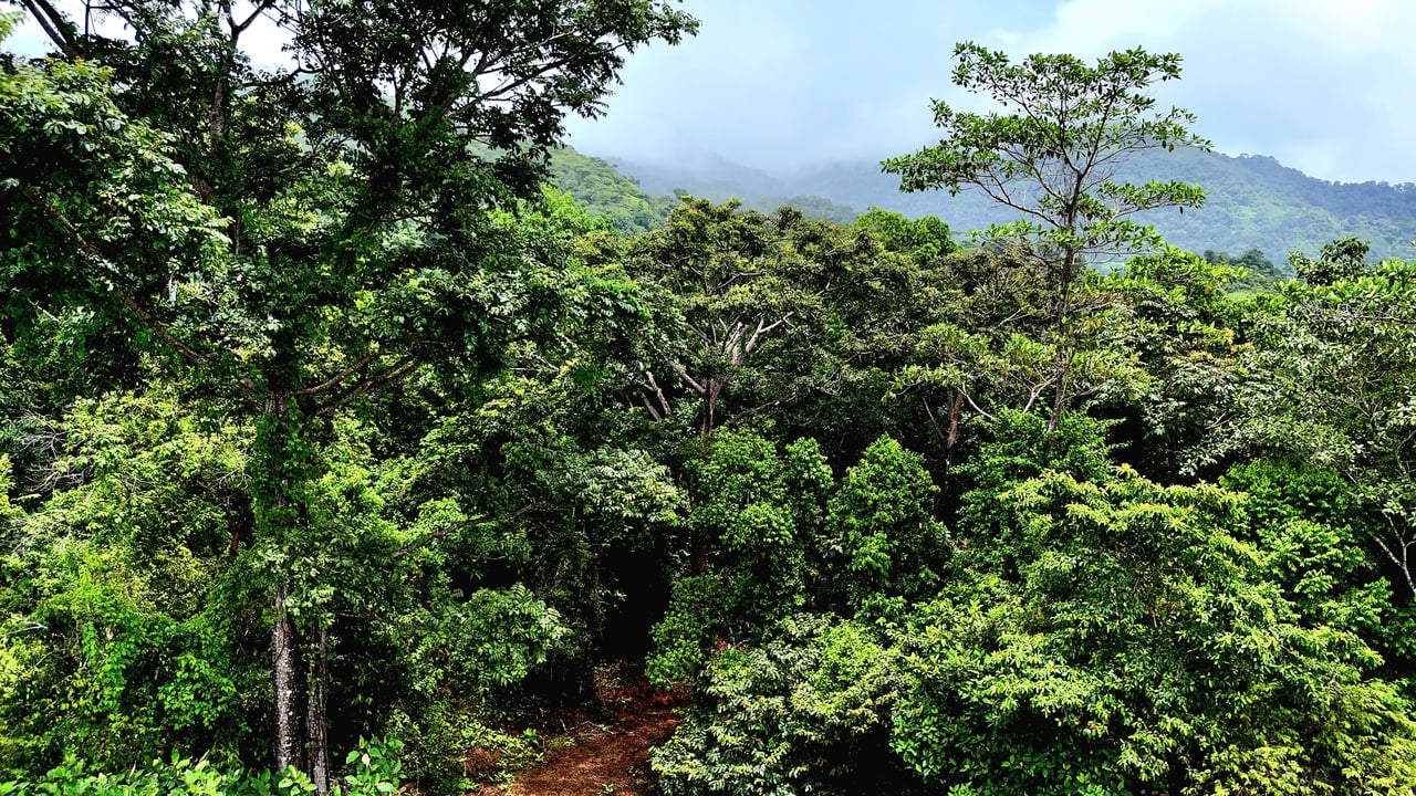 Costa Azul Residential Project - Tres Ríos de Osa, Costa Rica