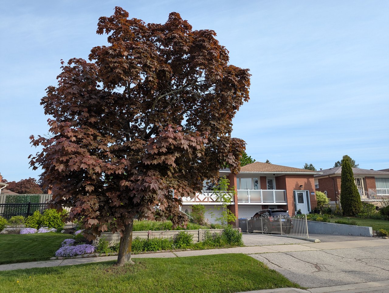 1127 Claredale Road