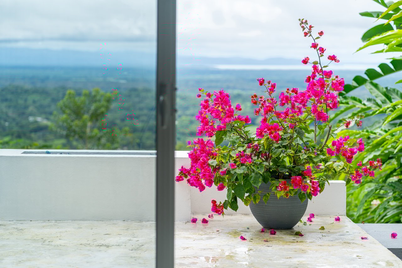 Casa Pacífica, Outstanding Ocean Views With 15 Acres! 4 Separate Lots!  