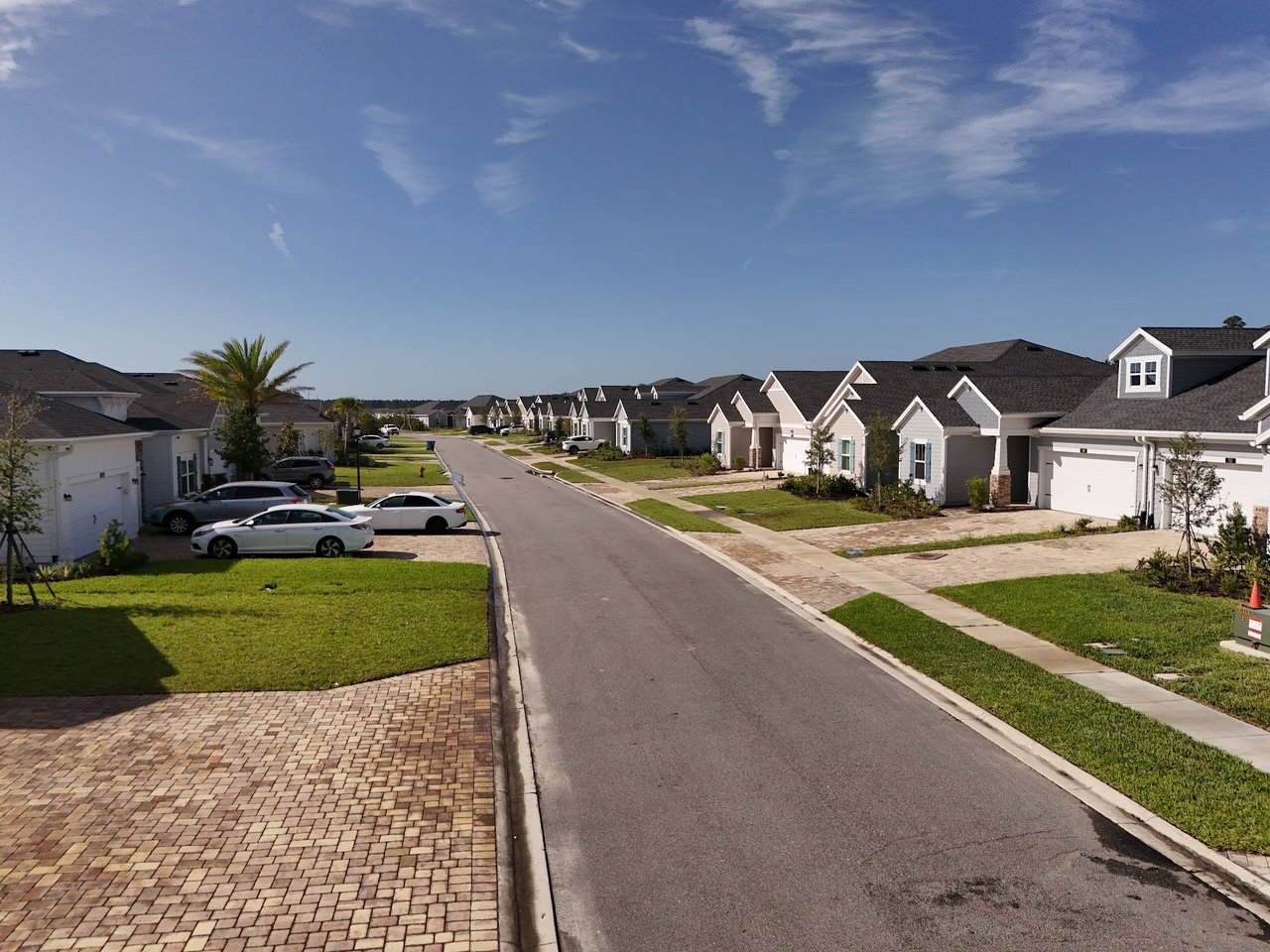 Residential street lined with detached homes, parked cars, lawns, and a palm tree.