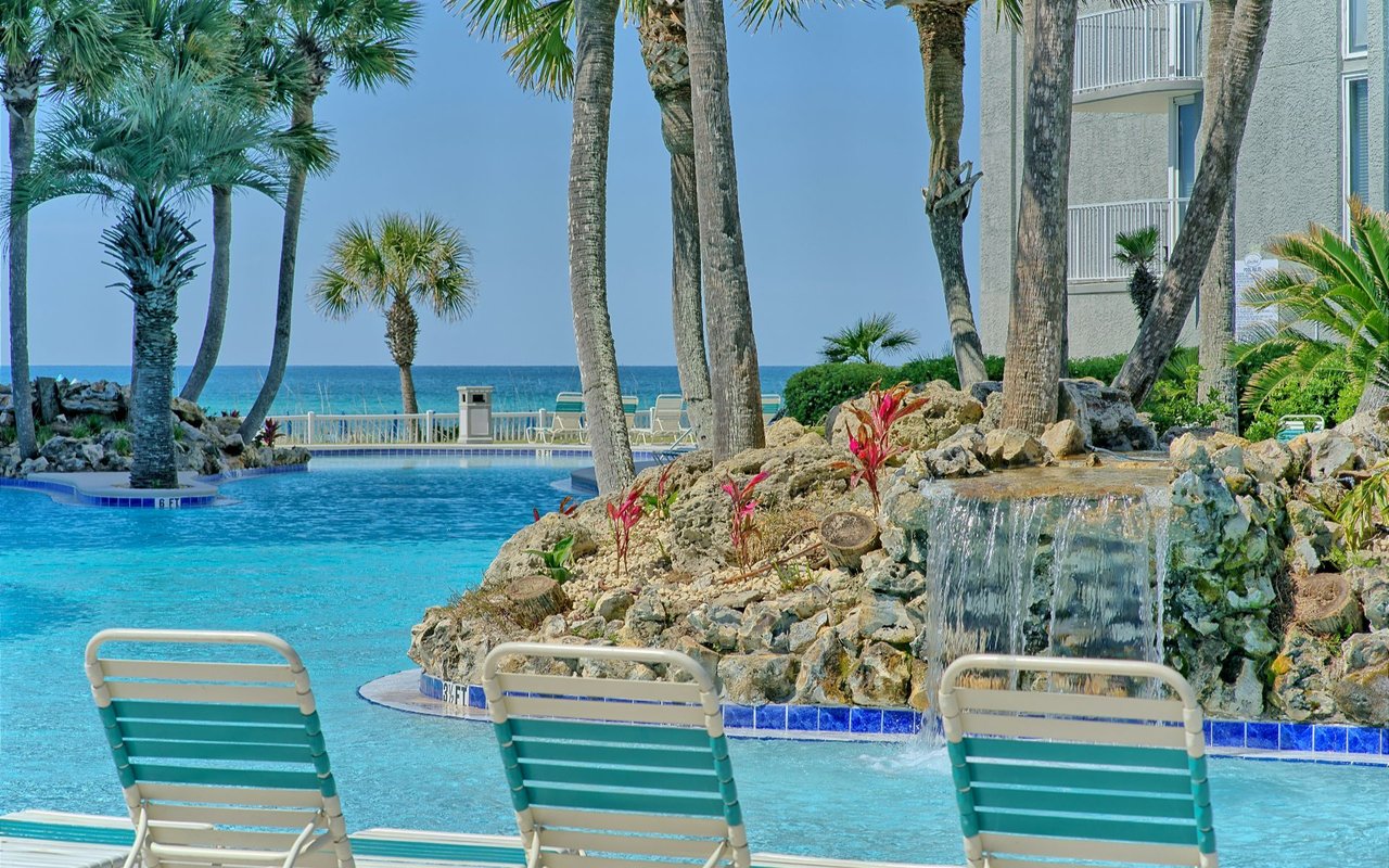 The Cove