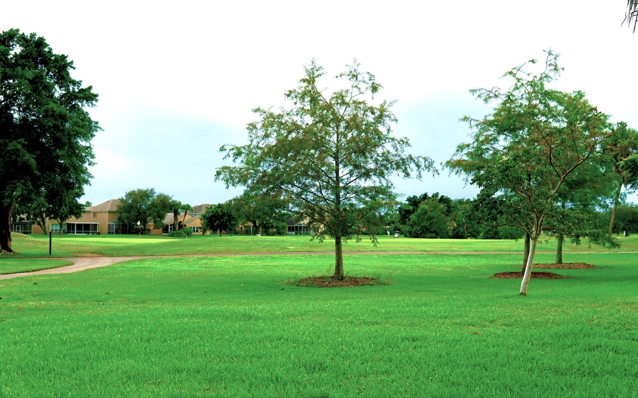 Tamarac