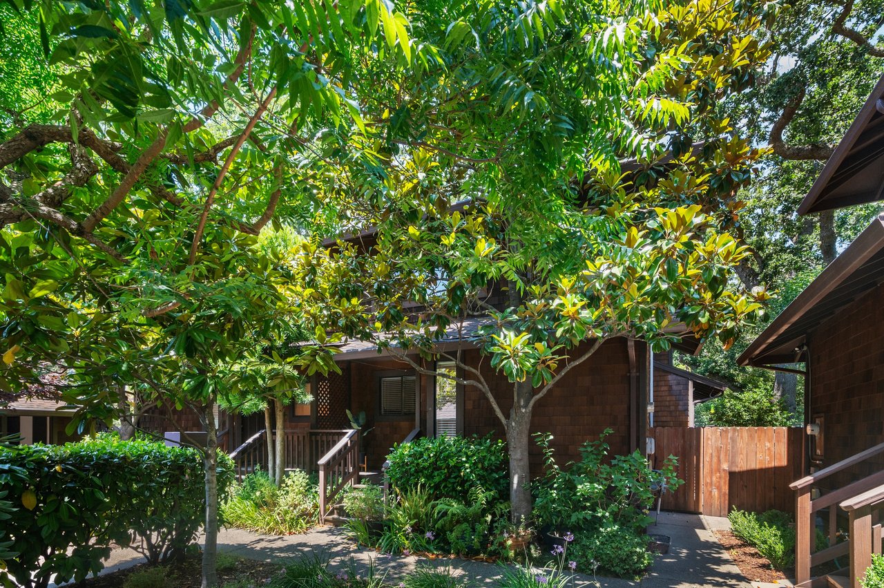 A Marin hillside neighborhood with homes surrounded by trees, illustrating wildfire risk and rising insurance costs.