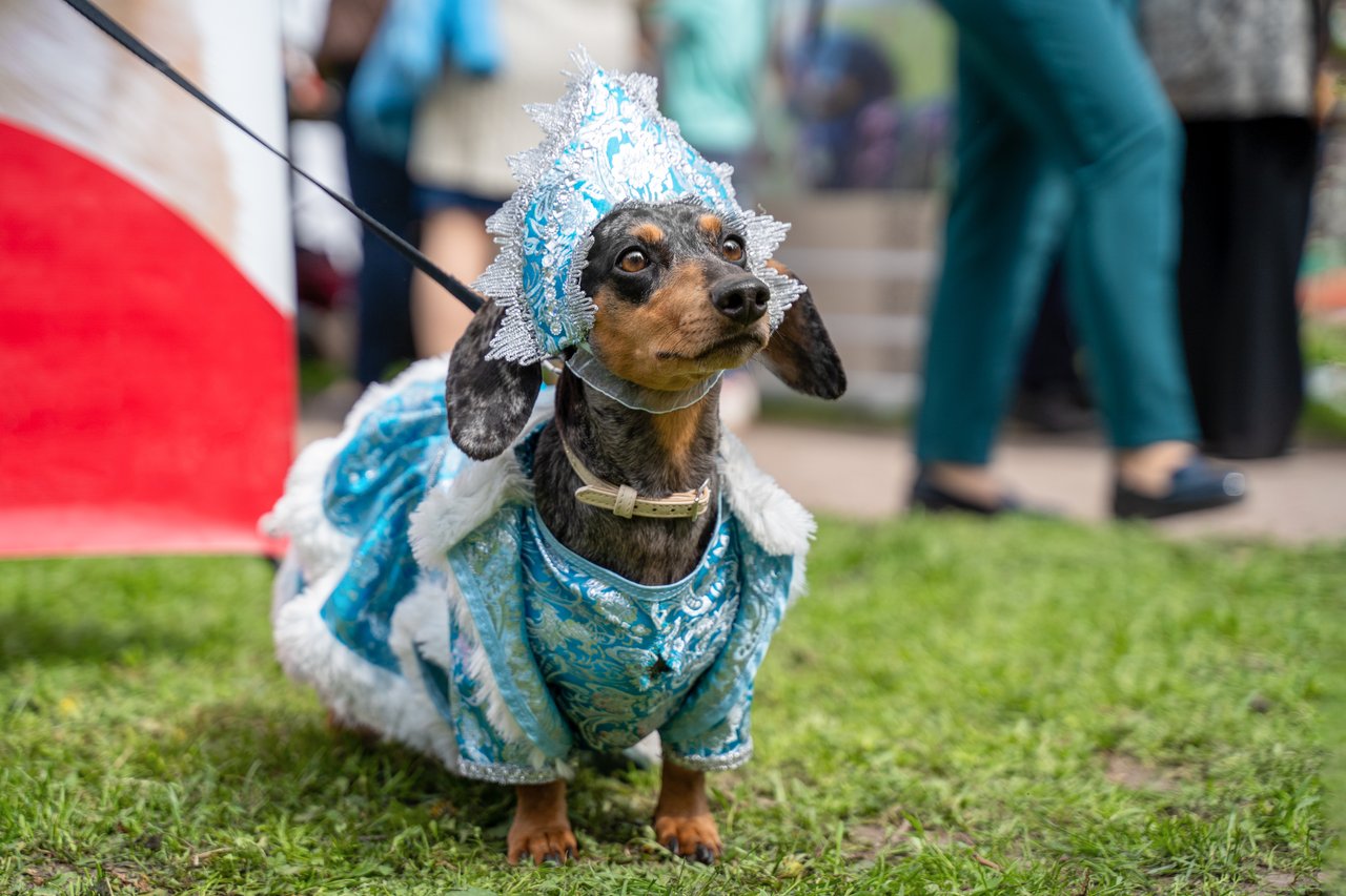 Best Seattle Events for October 2026
