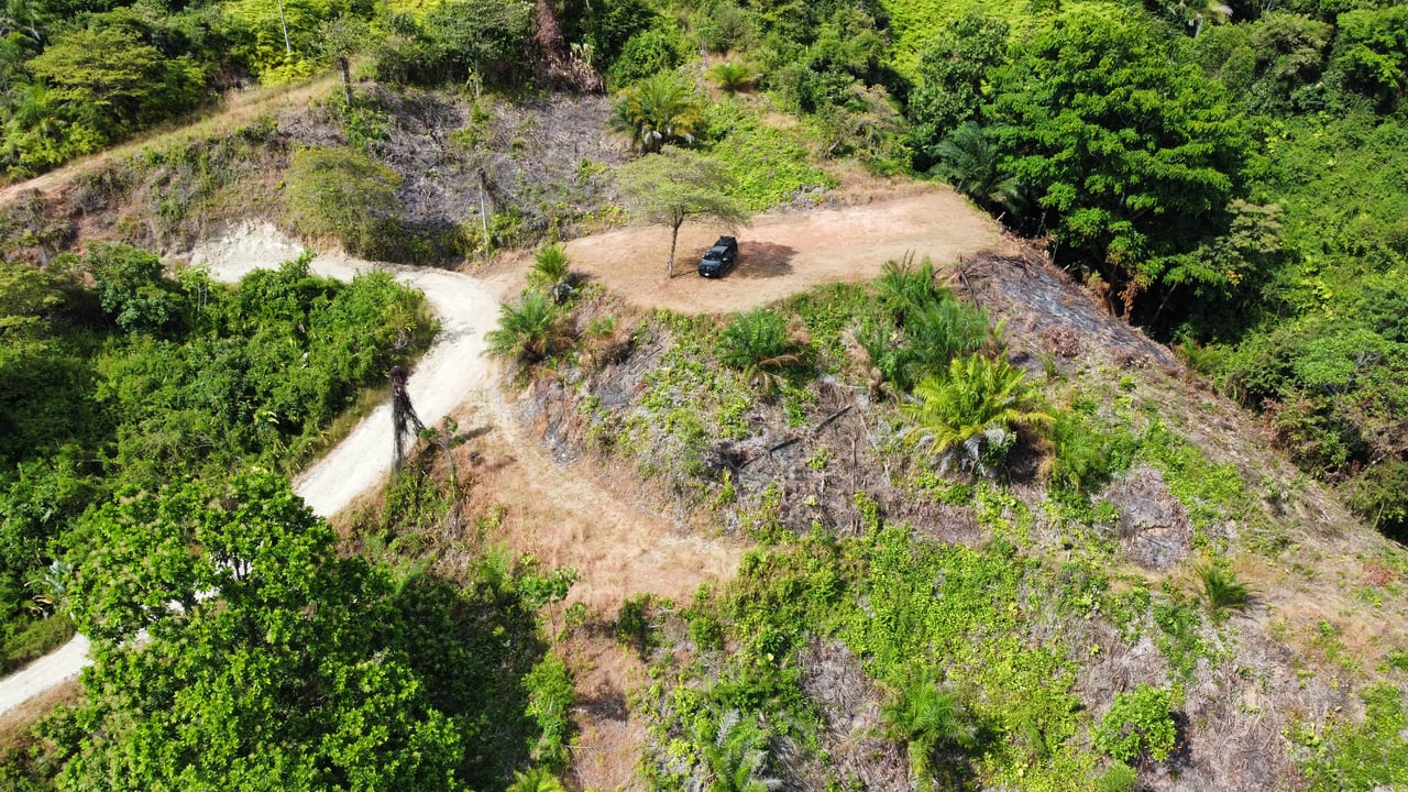 Breathtaking Ocean-View Estate: Over 1 Hectare of Serenity and Sunset Magic