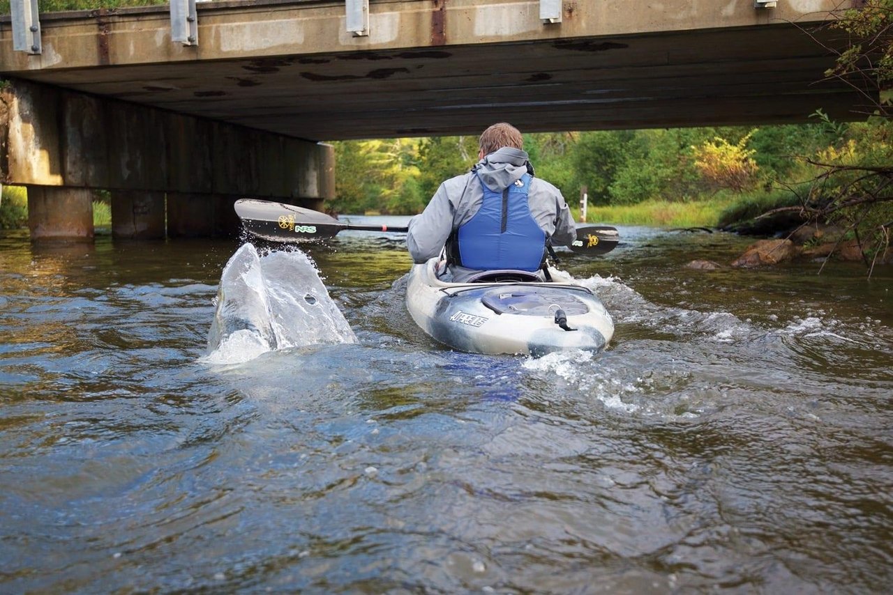 Life on the Water: Boating, Kayaking, and the Bay Culture of Northern Michigan cover