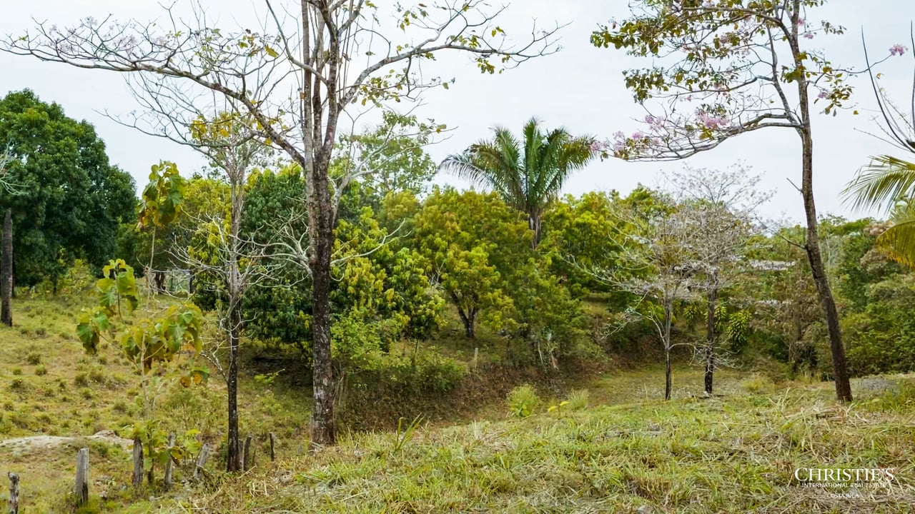 Blossom Hill Parcel in Santa Teresa
