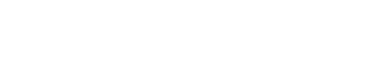 Light Logo