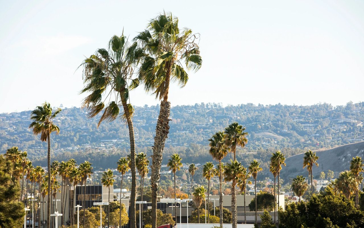 Studio City