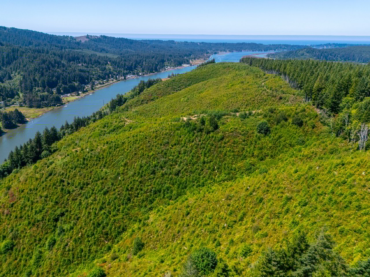 Alsea Estuary Forestland