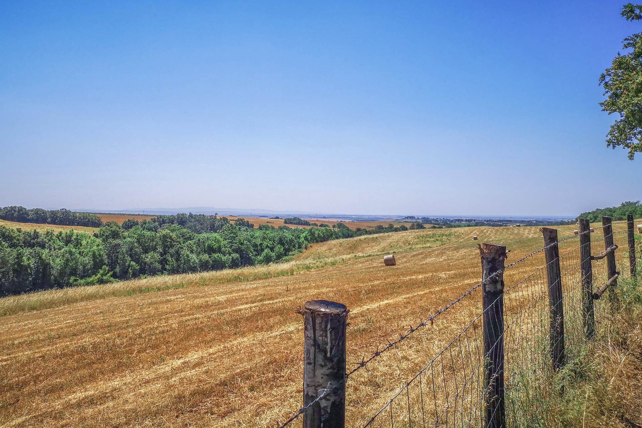 Hunting Reserve - Capalbio