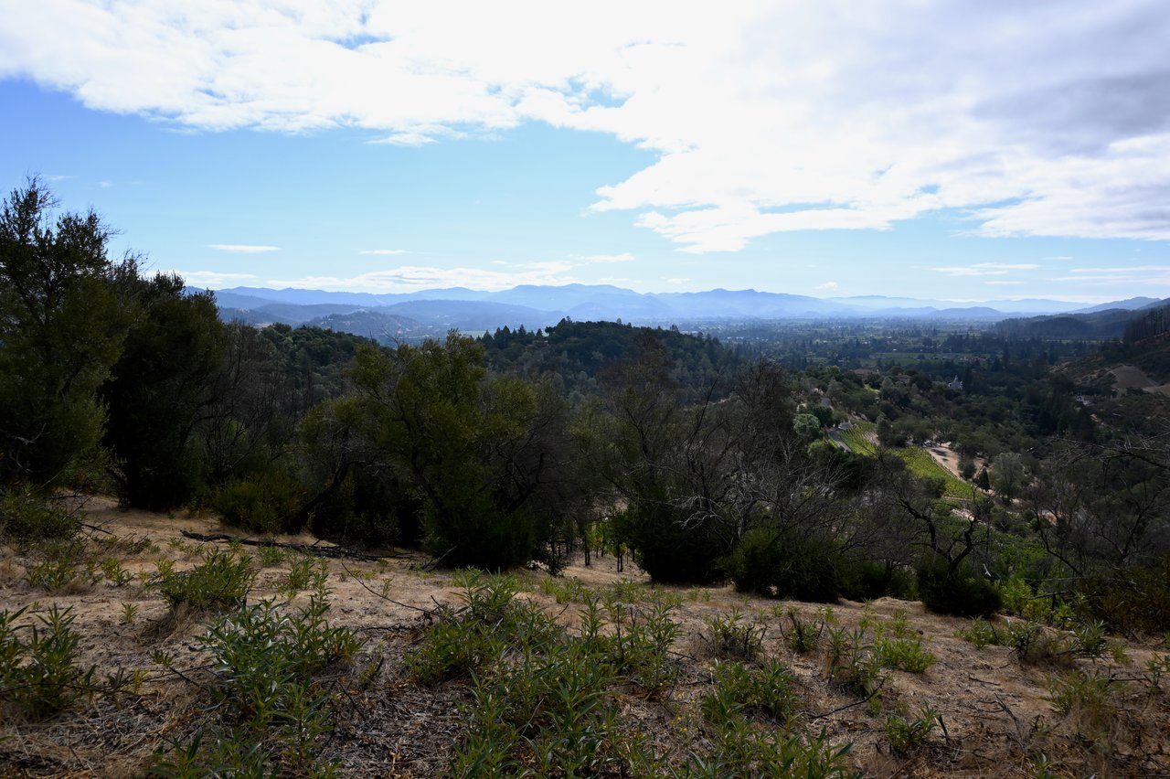 2910 Spring Mountain Rd