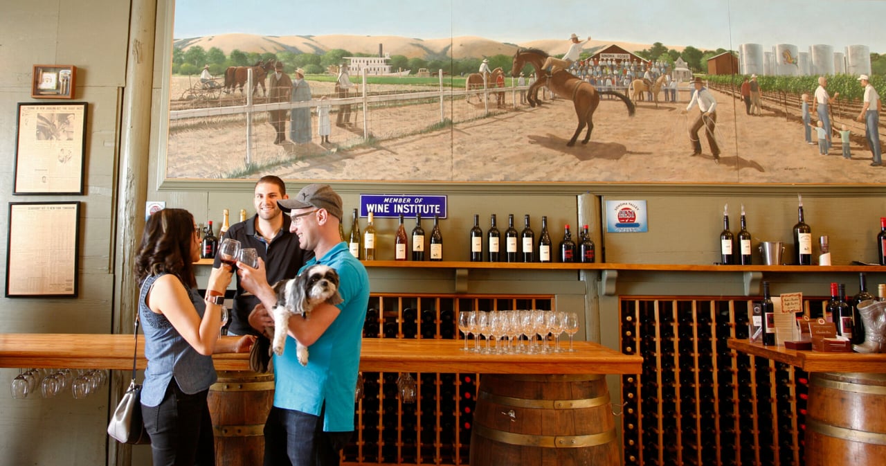 33 Best Dog-Friendly Wineries in Sonoma County