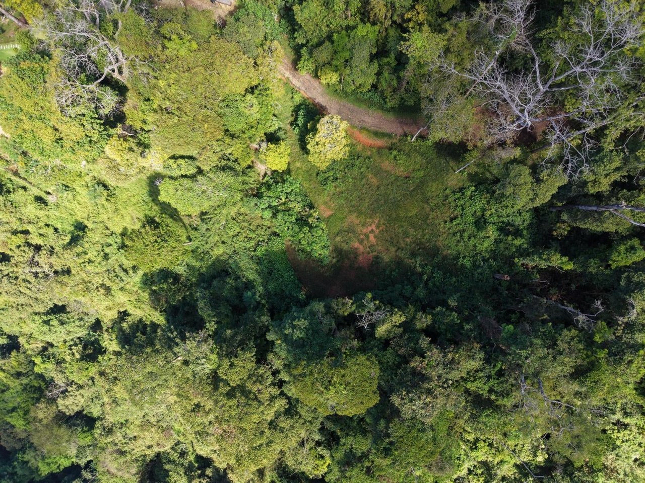 Premier Ocean View Homesite, Dominical, Puntarenas