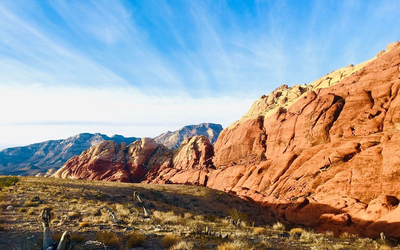 The Canyons