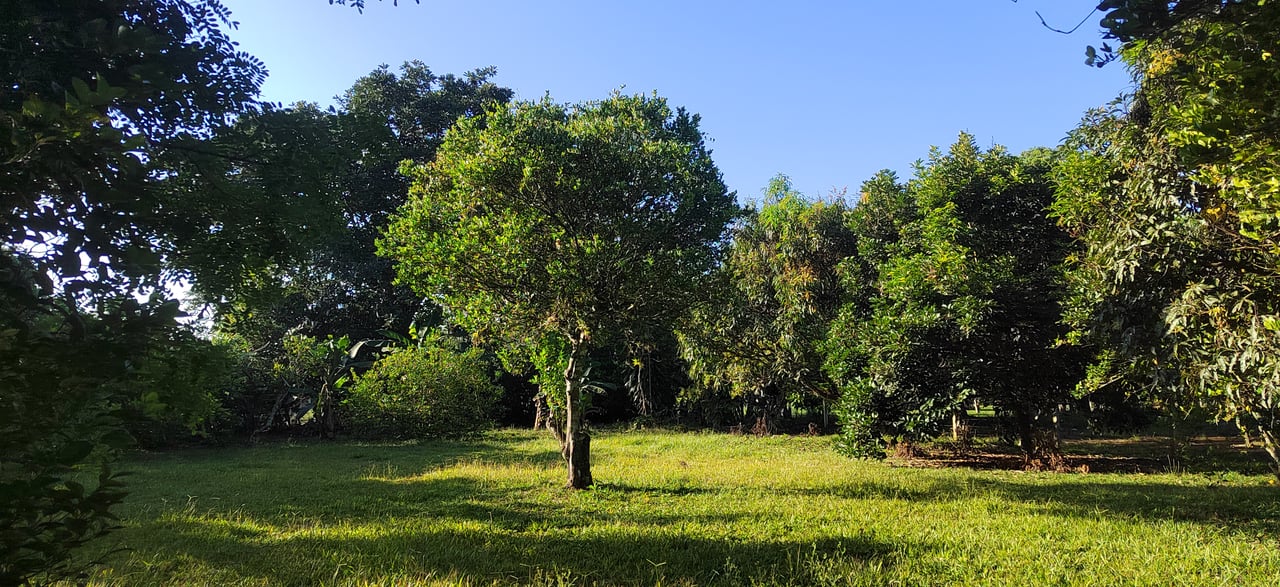 PRIME 1,100 M² LOT IN RESIDENCIAL LOS VIEJOS – FLAT, PRIVATE, AND READY TO BUILD