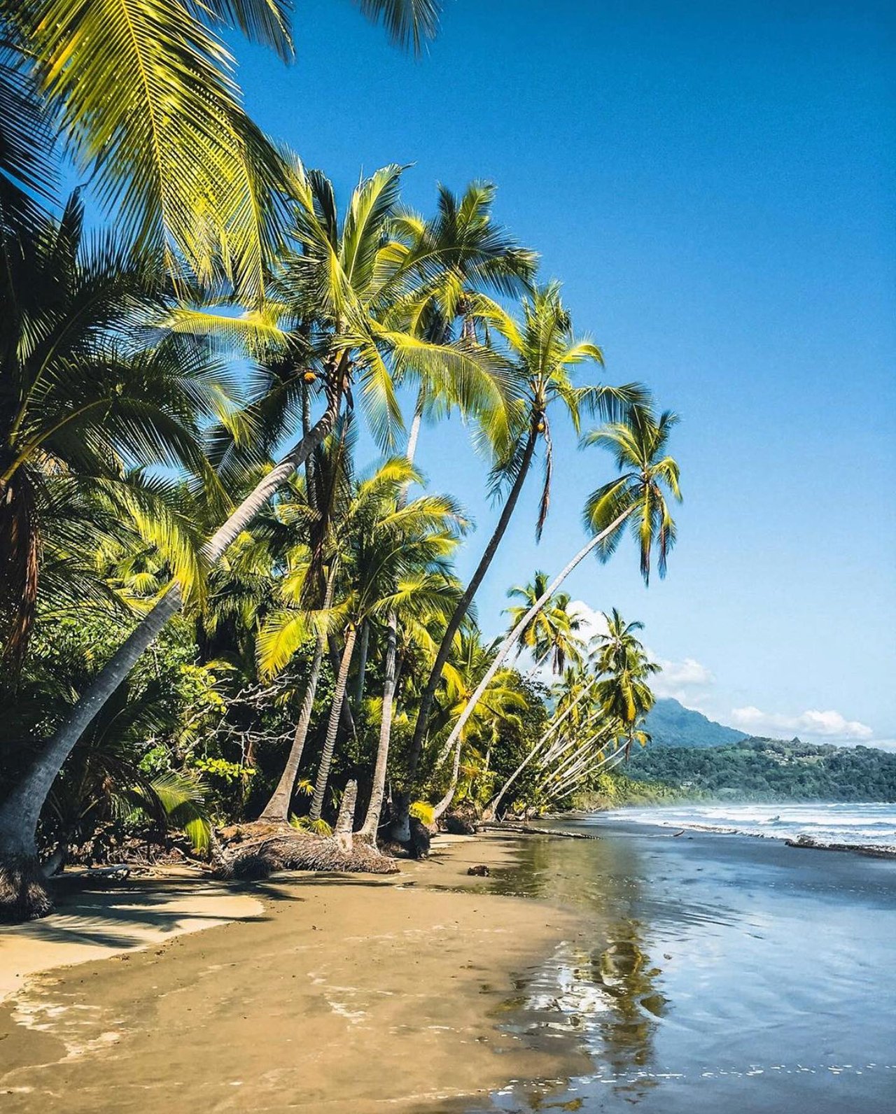 Uvita