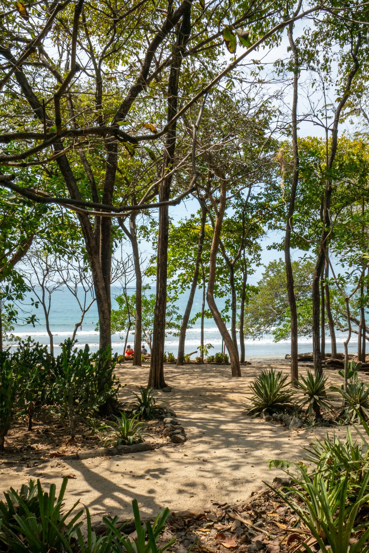 18 Calle La Ronda | Where Everyday Feels Like a Holiday