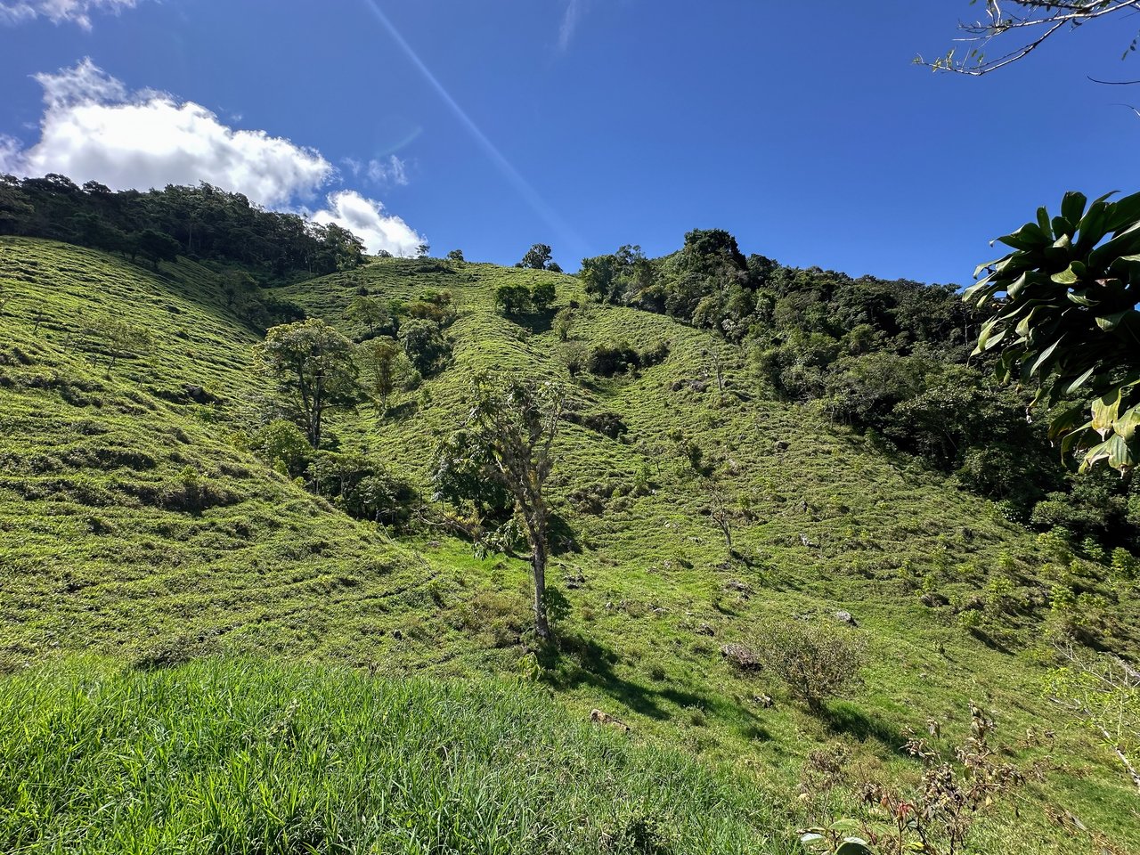  Off-Grid Paradise in Pueblo Nuevo, Rivas – Waterfall, Forest & Views