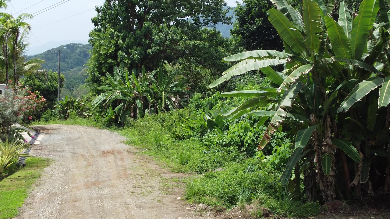 Ojochal - 1 Acre Ready To Build Jungle Lot, Ocean Breezes in Wildlife Corridore
