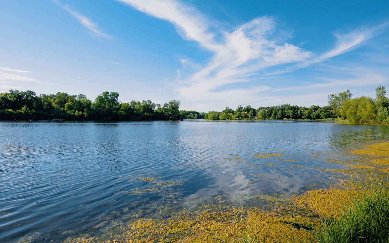 Lake Elmo