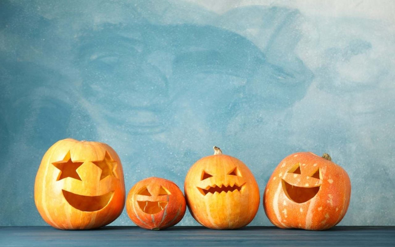 No Tricks Only a Treat