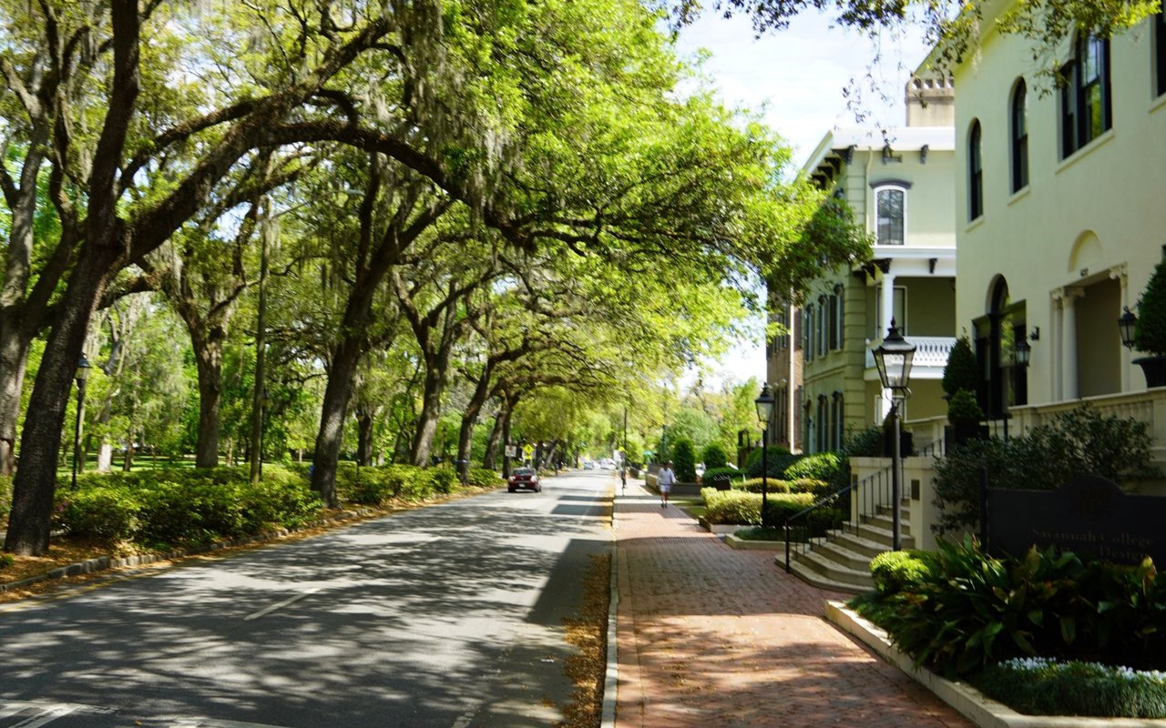 Savannah