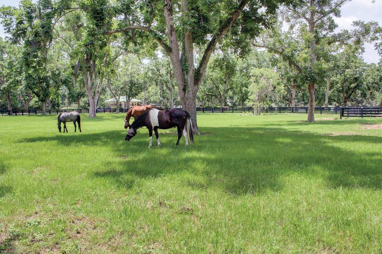 Moss Creek