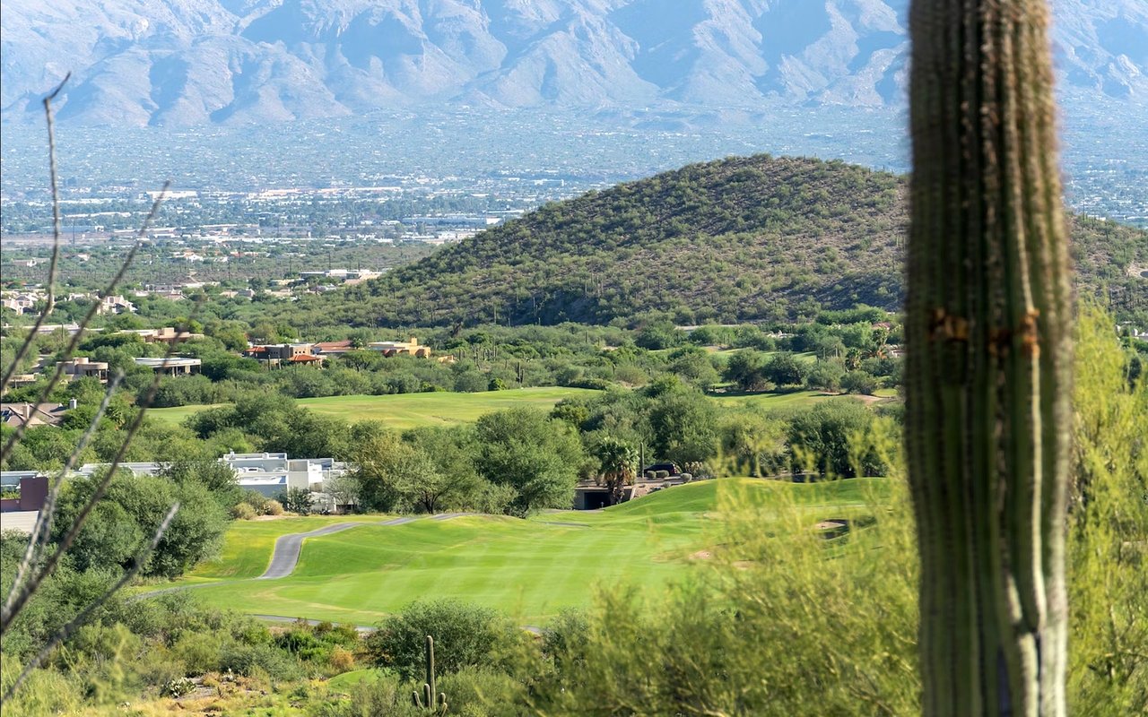 Mesa’s Top Public Golf Courses to Know About