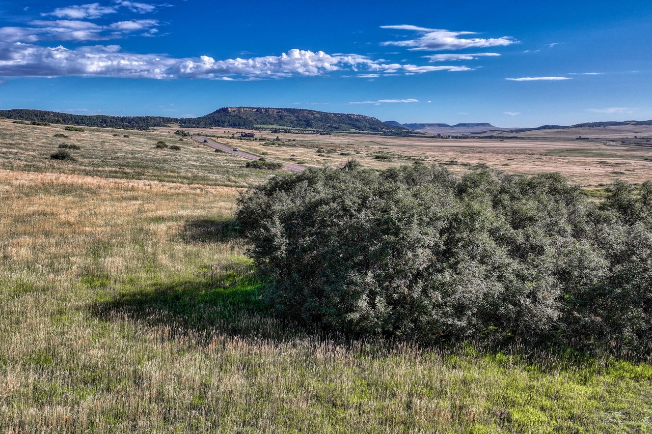 15989 S Perry Park Road