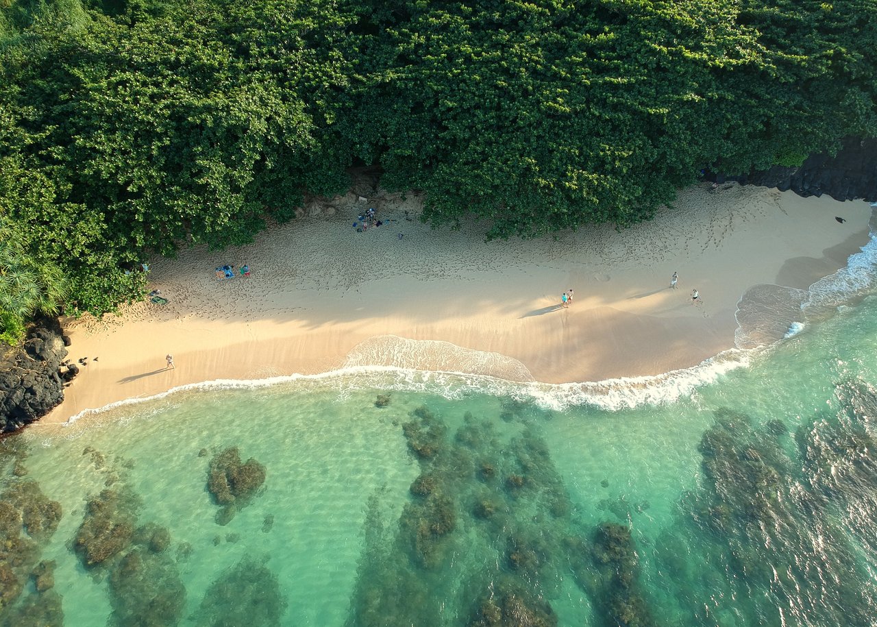North Shore Market Report: 2024 End-of-Year