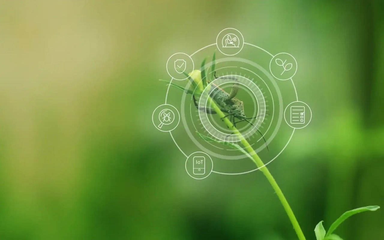 Eco-Friendly Pest Management