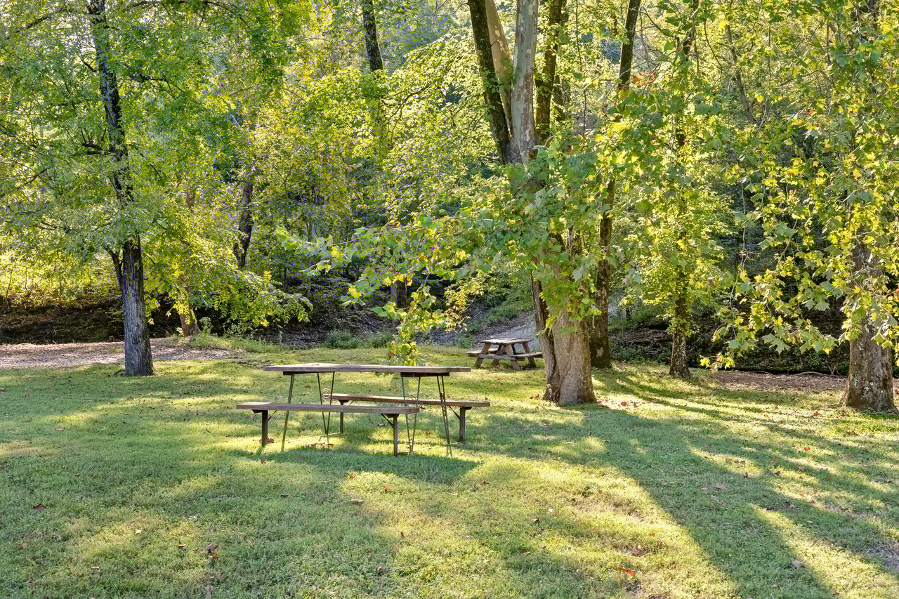 8192 Shoals Branch Road