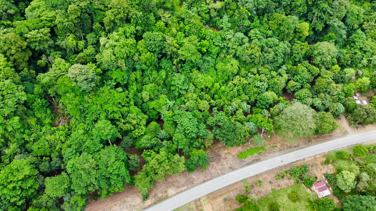 Tawal Lots for Sale – Prime Commercial & Residential Opportunity