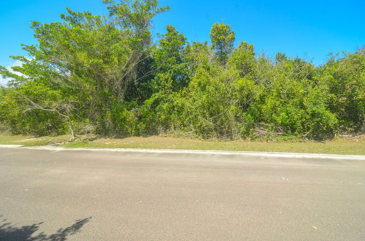 Lot #81 Lyford Hills